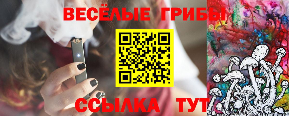 Фрязино  Псилоцибиновые грибы Psilocybine cubensis  Вход с VPN  Псилоцибиновые грибы ЛСД 