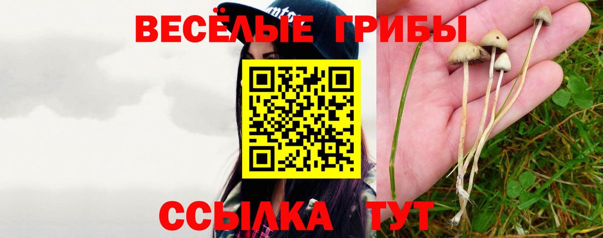 Галлюциногенные грибы GOLDEN TEACHER Фрязино